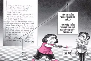 Đình chỉ vụ án con vay tiền mẹ phải liên đới trả 