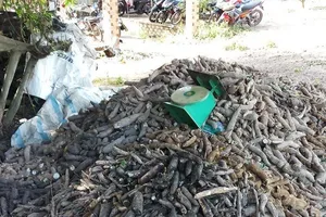 Vụ người thu gom mì mót bị chết: Công an mời chủ đại lý