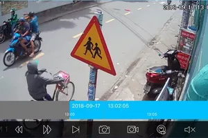 Ai đã lấy trộm con chim chào mào của chủ quán cà phê?