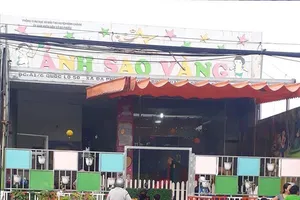 Ngày mai xét xử bảo mẫu hành hạ trẻ ở Bình Chánh