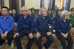 Bị cáo Trần Phương Bình thừa nhận 27 hành vi phạm tội