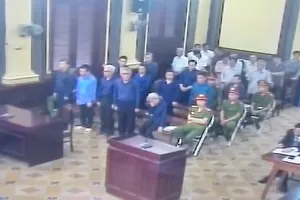 Đề nghị xem xét trách nhiệm thanh tra 10 năm không ra sai phạm