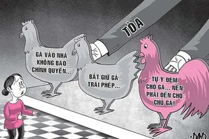 Thẩm phán và Kiểm sát viên 'luận' về vụ 3 con gà đi lạc