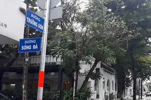 HĐND TP.HCM đề nghị gửi kết quả giải quyết 19 vụ án kéo dài