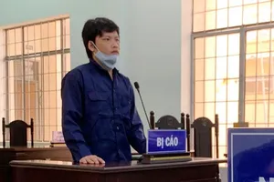 Rút kinh nghiệm vụ án 'mẹ ép con gái quan hệ với chồng hờ của mẹ'