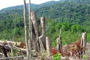 Tòa sơ thẩm xác định sai tư cách tố tụng của UBND xã