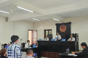  Luật Tư pháp người chưa thành niên