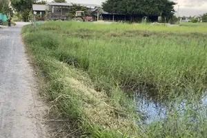 Rút kinh nghiệm cách giải quyết một vụ án kiện Sở Tài nguyên và Môi trường