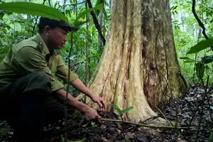 Phải làm cho người ta biết sợ, biết thương để ngăn chặn nạn săn bắn thú hoang dã