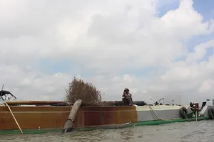 Ngang nhiên hút trộm cát sát chân cầu Rạch Miễu