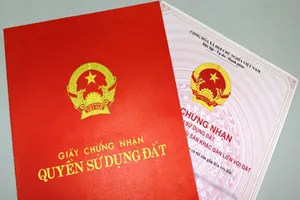 Kiến nghị xử lý sai phạm trong quản lý đất công tại Bến Tre