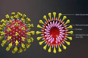 Trà Vinh: Bé trai Trung Quốc ho, sốt âm tính với virus Corona