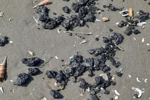  Hàng loạt vết dầu vón cục trôi dạt vào bờ biển Bến Tre