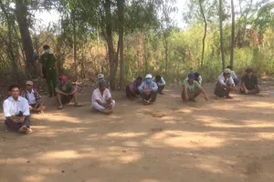 Tiền Giang bắt một tụ điểm đá gà ăn tiền