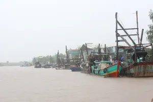 3 chủ tàu cá bị phạt 2,5 tỉ đồng 