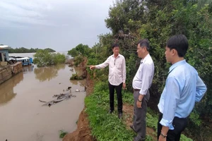 Mưa lớn làm sạt lở 50 m đê bao xuống sông Tiền 