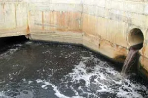 Bến Tre: Gây ô nhiễm môi trường, 1 công ty bị phạt 130 triệu