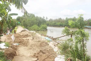 Tháo dỡ đập tạm sông Ba Lai gây sạt lở 150m lộ và đê bao