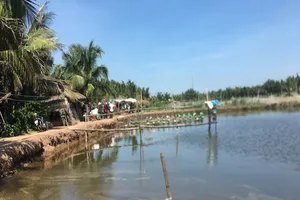 3 người chết trong chòi tôm để lại 2 lá thư tuyệt mệnh