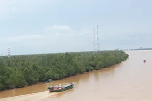 Ngưng bến thủy trong hành lang lưới điện vượt sông Hàm Luông