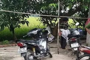 Thi thể 1 người đàn ông trong chuồng bò