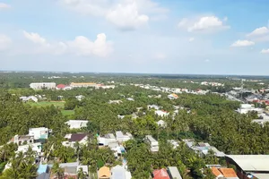 Bến Tre kiến nghị hỗ trợ 72 tỉ khôi phục vườn dừa sau hạn mặn