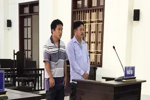 Chủ và người làm thuê bị phạt tù vì trộm cát 