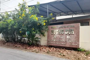 Phạt 370 triệu đồng công ty làm thạch dừa xả thải gây ô nhiễm