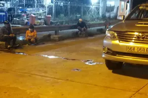 Tài xế dùng bằng lái giả, chở 5 người thông chốt từ TP.HCM về Miền Tây