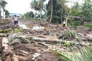 Cầu Mỏ Cày ở Bến Tre bắt đầu thi công trở lại sau nhiều tháng 'đứng hình'