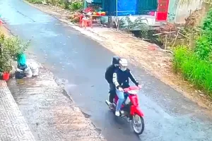 Công an Tiền Giang bắt 2 thanh niên dùng búa cướp tiệm vàng