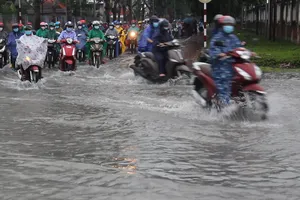 Bến Tre: Bệnh thủy đậu bùng phát tại 1 công ty trong KCN Giao Long