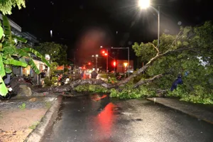 Dông lốc làm tốc mái 25 căn nhà ở Đồng Tháp