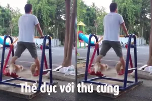 Clip tập thể dục với thú cưng 