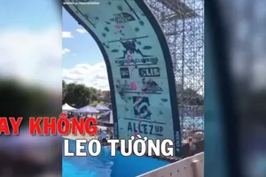 Thi leo tường bằng tay không