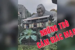 Video những trò cảm giác mạnh đến khóc thét