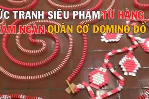 Bức tranh từ hàng trăm ngàn quân cờ domino đổ