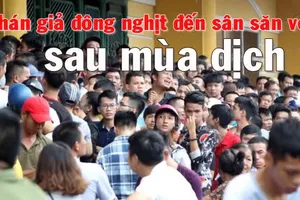 Vừa ‘mở cửa’, bóng đá Việt Nam có nguy cơ bị cấm