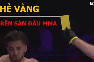 Thẻ vàng trên sàn đấu MMA