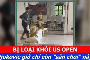 Bị truất quyền thi đấu, Djokovic chỉ còn 'sân chơi' này