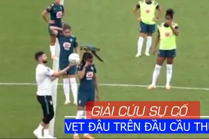 Giải cứu chú vẹt đầu trên đầu cầu thủ không cho thi đấu