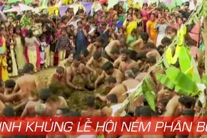 Kinh khủng lễ hội ném phân bò