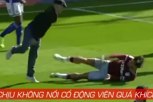 Đánh luôn cả cổ động viên quá khích 