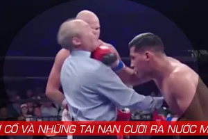 Võ đài UFC: Đấm luôn cả trọng tài
