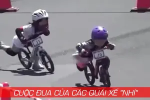 Cuộc đua kỳ thú của các quái xế nhí 