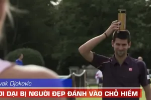 Novak Djokovic chơi dại bị người đẹp đánh nhầm chỗ hiểm