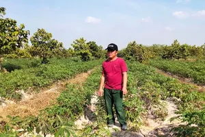 1 người được tạm ngưng ở tù khi VKS kháng nghị giám đốc thẩm 