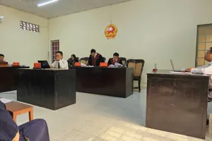 Suýt mất hai thửa đất vì khắc phục hậu quả cho em trai 