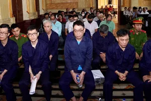 Cựu phó giám đốc Sở KH&ĐT TP.HCM Trần Thị Bình Minh lãnh 7 năm tù trong vụ án thứ 2