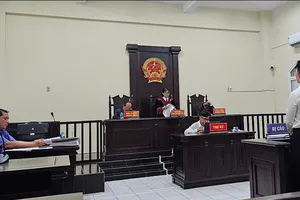 'Tú ông' lãnh án vì chuyên môi giới 'đào nam' đi tour với khách 